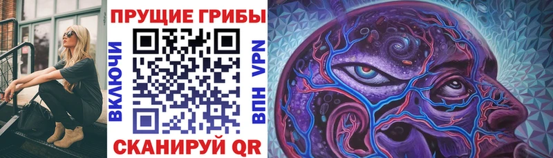 кракен онион Катав-Ивановск Галлюциногенные грибы прущие грибы